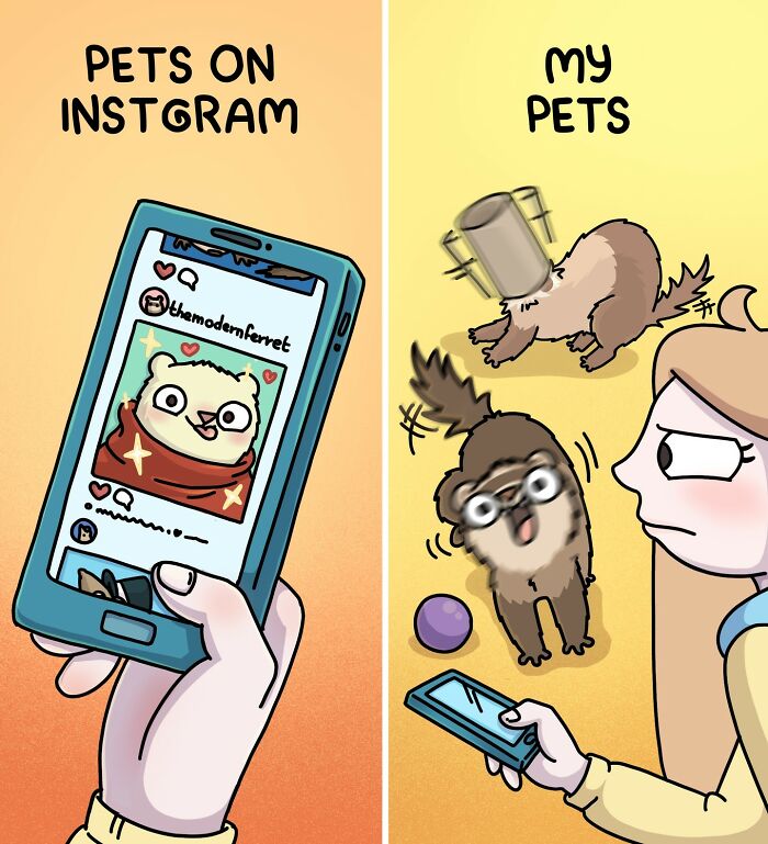 Cartoon showing difference between pets on Instagram and real life of living with two ferrets and a cat.