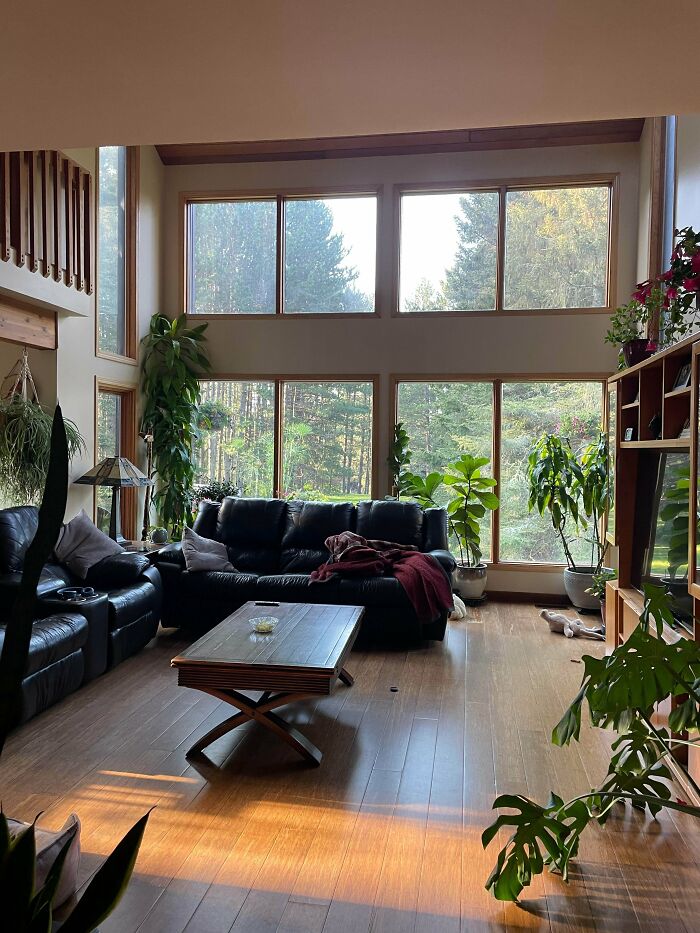 Spacious living room with large windows, leather furniture, plants, and wooden floors showcasing home decoration pride.