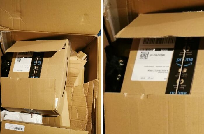 Black cat peeking out from a cardboard box, one of many pets who tried hiding but failed hilariously.