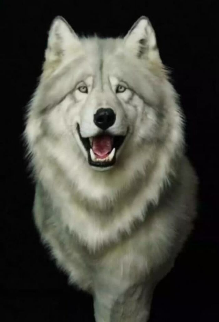 Realistic animal sculpture of a white wolf crafted with synthetic materials without harming wildlife on black background.