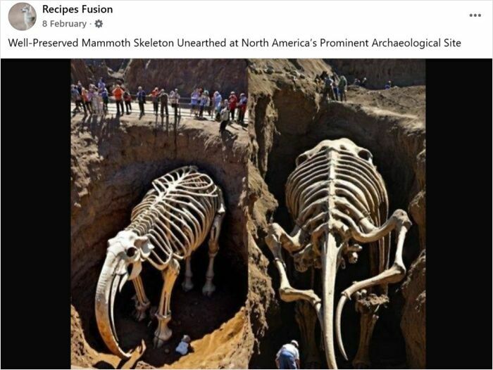Well-preserved mammoth skeleton unearthed at North America archaeological site with experts examining the discovery.