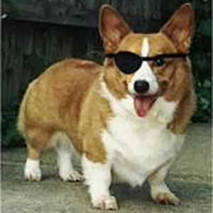 neroneverbeen avatar