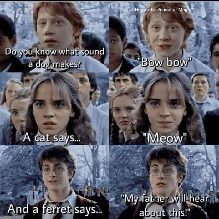 I Actually Kinda Like Mr. Crouch For That