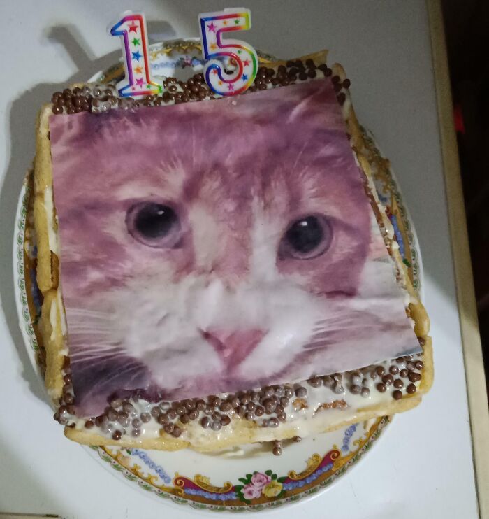 Funny and wholesome parents made a unique cat-themed birthday cake with colorful candles for a 15th celebration.