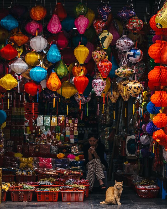 Colorful Asian lanterns hanging in a market stall with a person browsing phone and a cat sitting nearby.