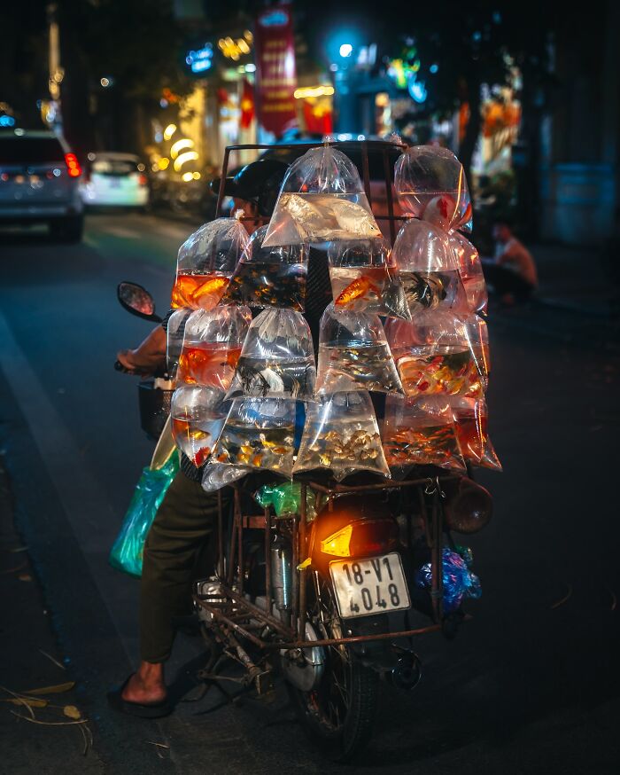 Motorbike vendor selling bags of live fish at night street, capturing everyday life in Asia vibrant market scene.