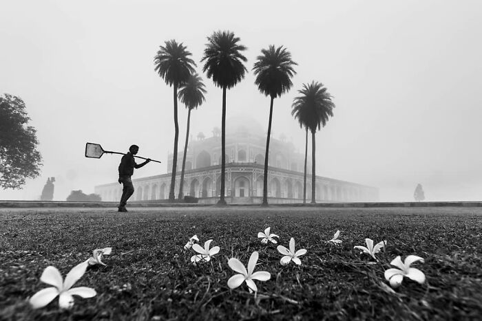 Black and white photo capturing everyday life in India with a man walking near historic building and palm trees in fog.