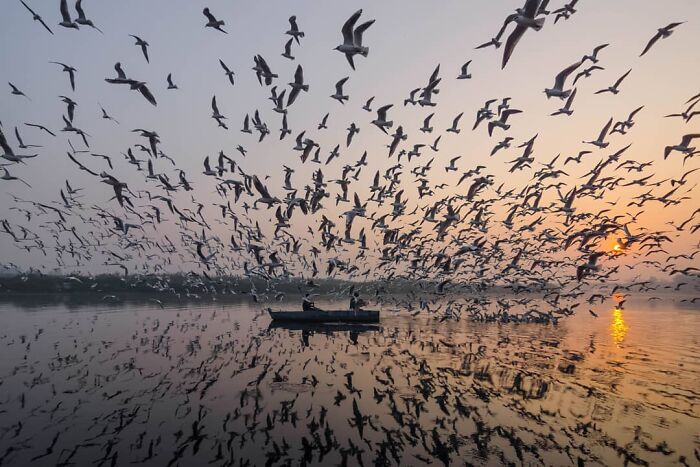 A photographer captures everyday life in India with birds flying over a calm river at sunrise.