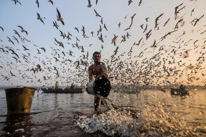 Photographer captures everyday life in India with man pouring water by river surrounded by flying birds at sunrise.