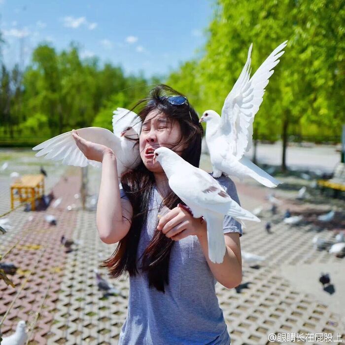 Young woman startled as white pigeons land on her face and arm in a park, capturing the moment before a minor mishap.