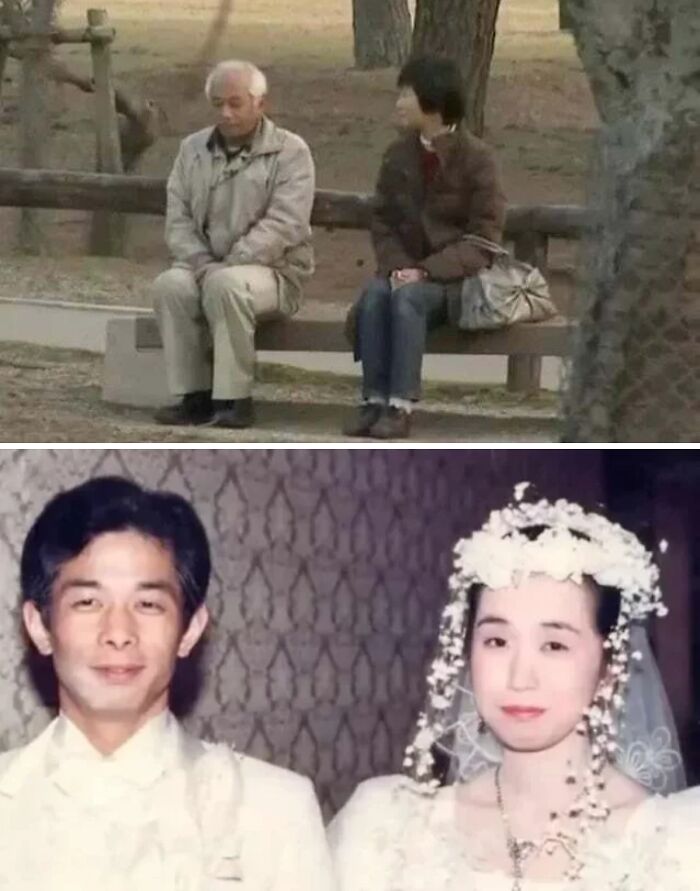 Elderly couple sitting on a bench in a park and a vintage wedding photo of a smiling bride and groom, inspiring facts.