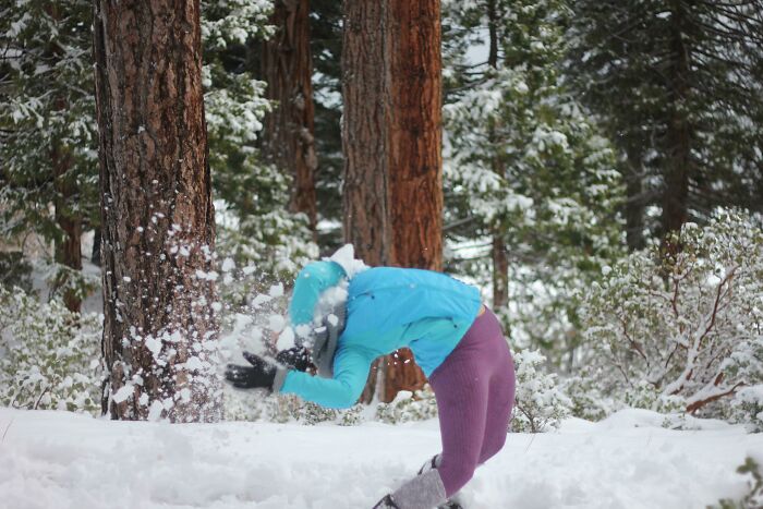 Person in a blue jacket and purple pants caught in mid-fall in snowy forest, capturing the moment before disaster struck.
