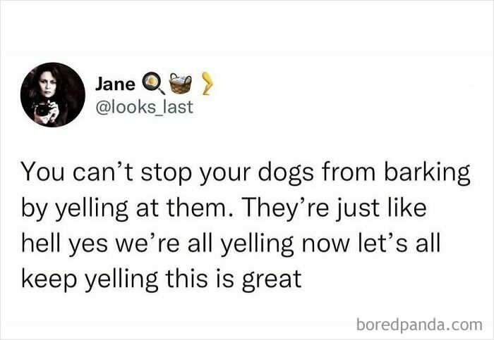 Funny tweet about dogs barking and yelling, showcasing a hilarious truth that won the internet with relatable humor.