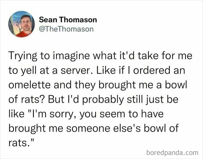 Tweet by Sean Thomason humorously imagining politely receiving a bowl of rats instead of an omelette, highlighting hilarious truths online.