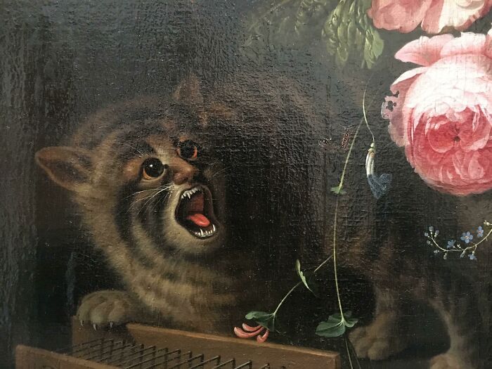 Medieval cat hissing with mouth open near delicate pink flowers in a dark, detailed classical painting.