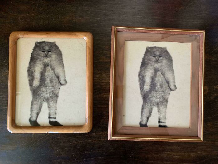 Two framed medieval cats illustrations depicting standing cats with striped socks on a dark wooden surface.