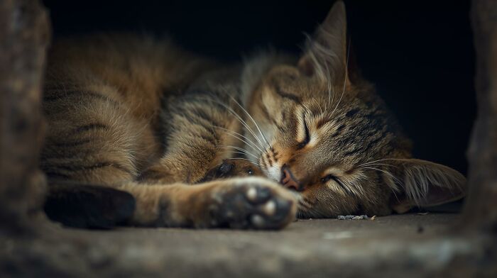 This Little Guy Looked Like He Was Guarding The Whole Neighborhood