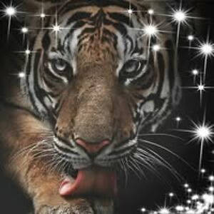 kristel_werkx avatar