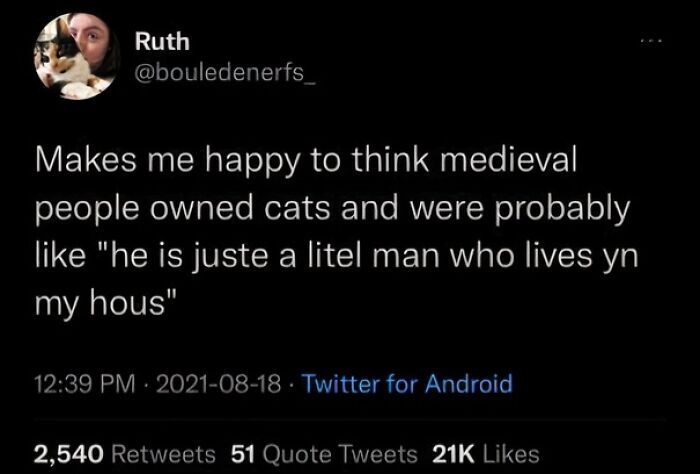 Tweet expressing happiness that medieval people owned cats, reflecting early human obsession with cats throughout history.