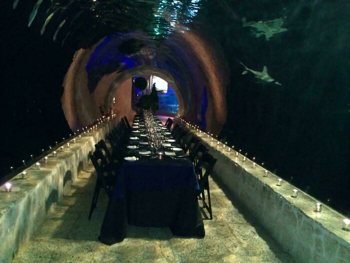 Underwater tunnel dining setup with chairs and candlelit tables, showcasing one of the jobs that should pay more.