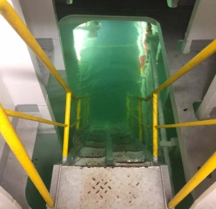Stairs submerged in green water inside an industrial facility, illustrating unsettling work conditions that highlight jobs needing higher pay.