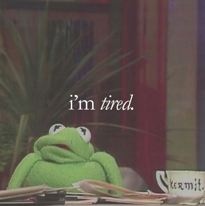 Kermit frog looking exhausted with text I'm tired showing introvert memes for decompressing after socializing.