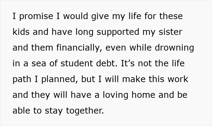 Text showing a woman’s life turning upside down as she supports her late sister’s kids despite never wanting children. Text showing a woman’s life turning upside down as she supports her late sister’s kids despite never wanting children.