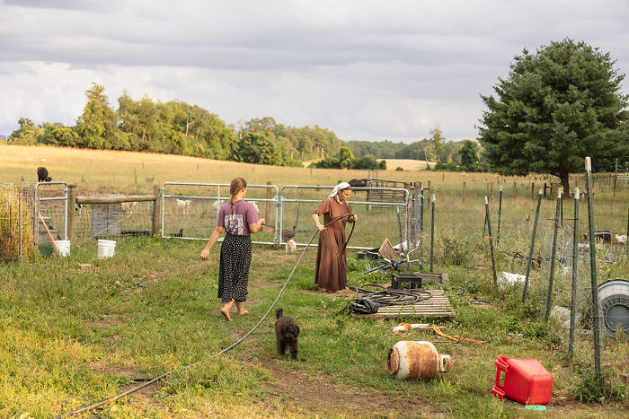 Emily’s Farm By Susan Anthony