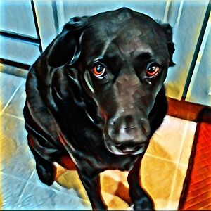 monsieurmabel avatar