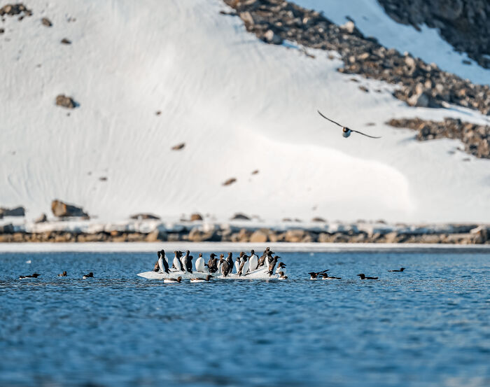 I’ve Traveled The World For Years, But The Arctic Left Me Speechless I’ve Traveled The World For Years, But The Arctic Left Me Speechless