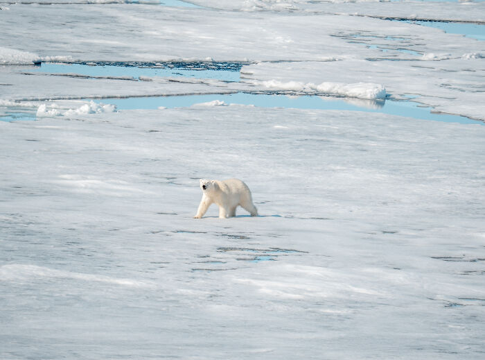 I’ve Traveled The World For Years, But The Arctic Left Me Speechless I’ve Traveled The World For Years, But The Arctic Left Me Speechless