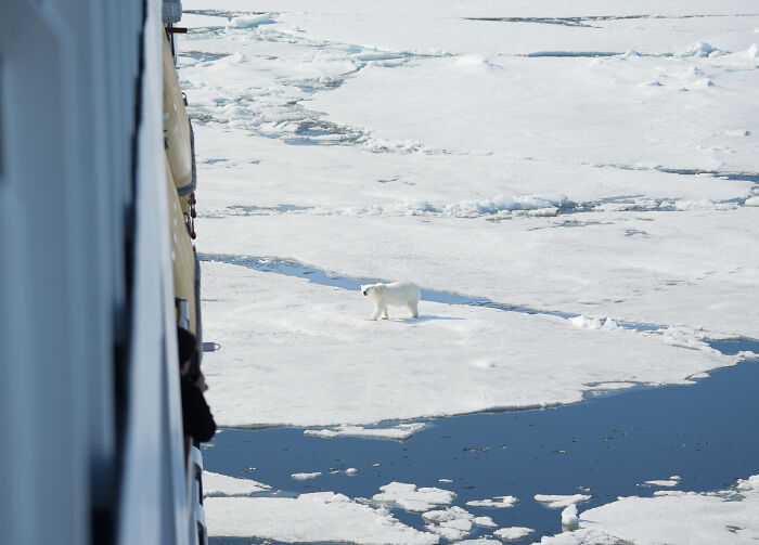 I’ve Traveled The World For Years, But The Arctic Left Me Speechless I’ve Traveled The World For Years, But The Arctic Left Me Speechless