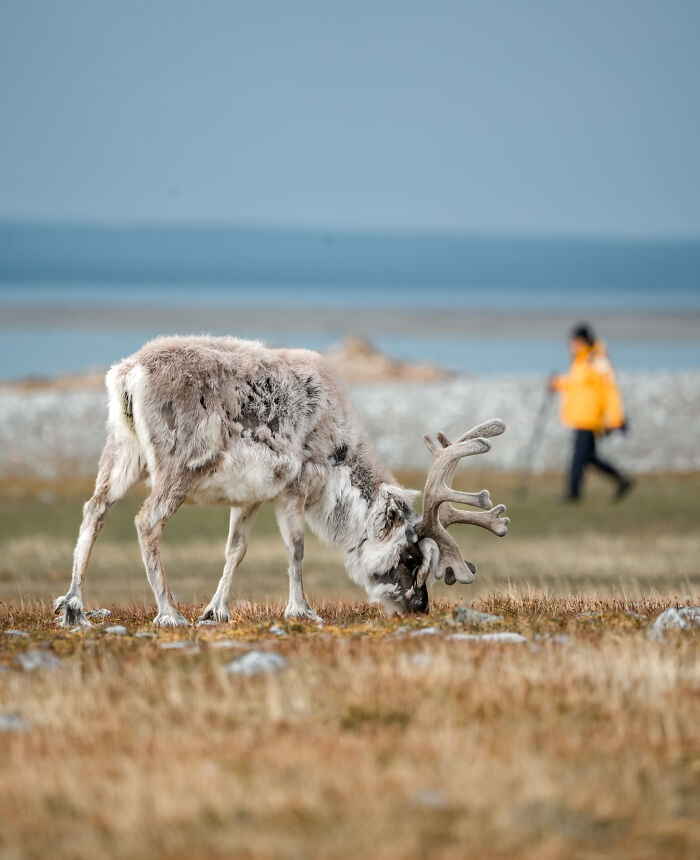 I’ve Traveled The World For Years, But The Arctic Left Me Speechless I’ve Traveled The World For Years, But The Arctic Left Me Speechless