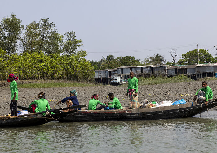 I Documented The Dangerous Work Of Honey Collectors In Bangladesh’s Mangrove Forests