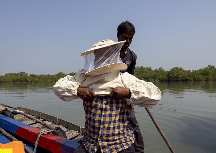 I Documented The Dangerous Work Of Honey Collectors In Bangladesh’s Mangrove Forests I Documented The Dangerous Work Of Honey Collectors In Bangladesh’s Mangrove Forests