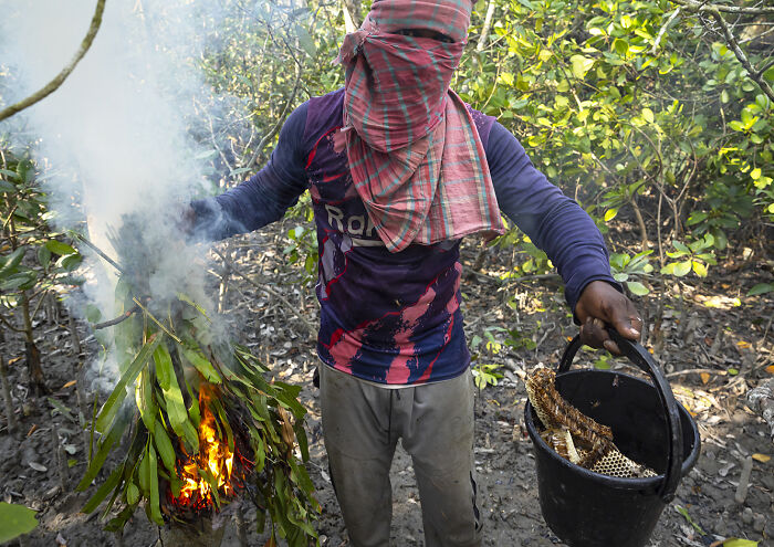 I Documented The Dangerous Work Of Honey Collectors In Bangladesh’s Mangrove Forests