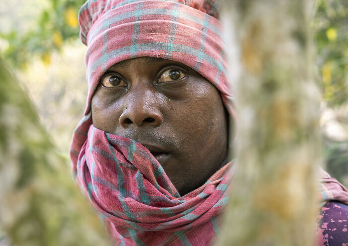 I Documented The Dangerous Work Of Honey Collectors In Bangladesh’s Mangrove Forests