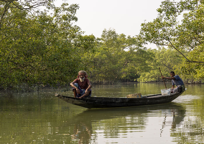 I Documented The Dangerous Work Of Honey Collectors In Bangladesh’s Mangrove Forests