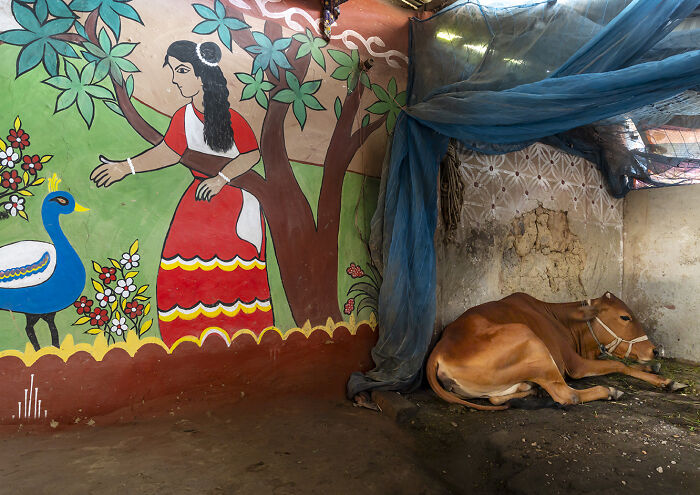 I Visited A Village Where Every Season Brings New Murals On The Mud Walls