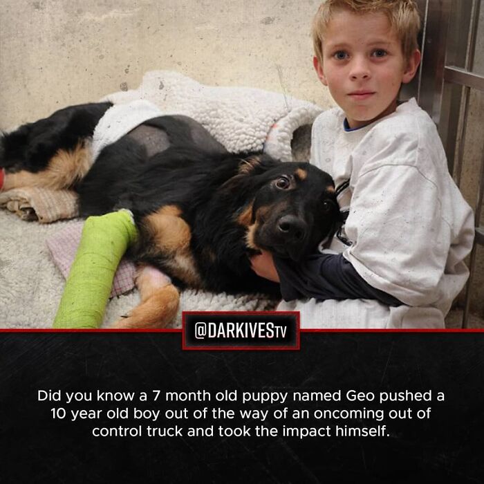 Young boy hugging black dog with green cast, showing a strange and dark world of terrifying facts and stories.
