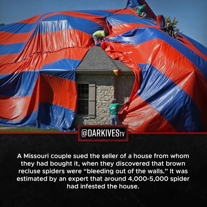 A house covered with a large tarp as workers remove a massive spider infestation showing dark and strange world horrors.