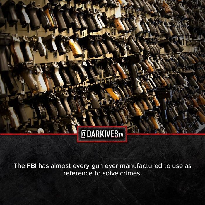 Wall of guns displayed as a terrifying fact showing how strange and dark our world can be with crime-solving references.
