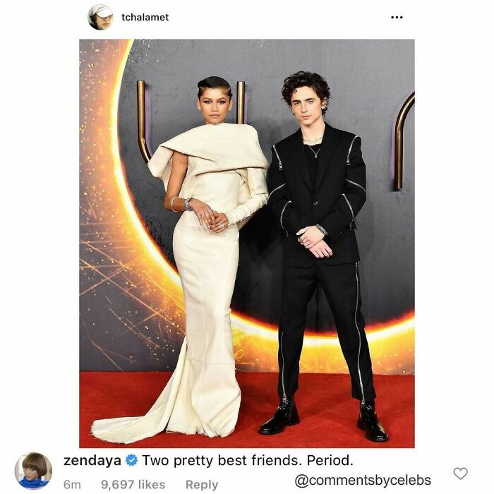 Zendaya and Timothée Chalamet posing on a red carpet, showcasing celebrity style and unexpected gems in the comments.