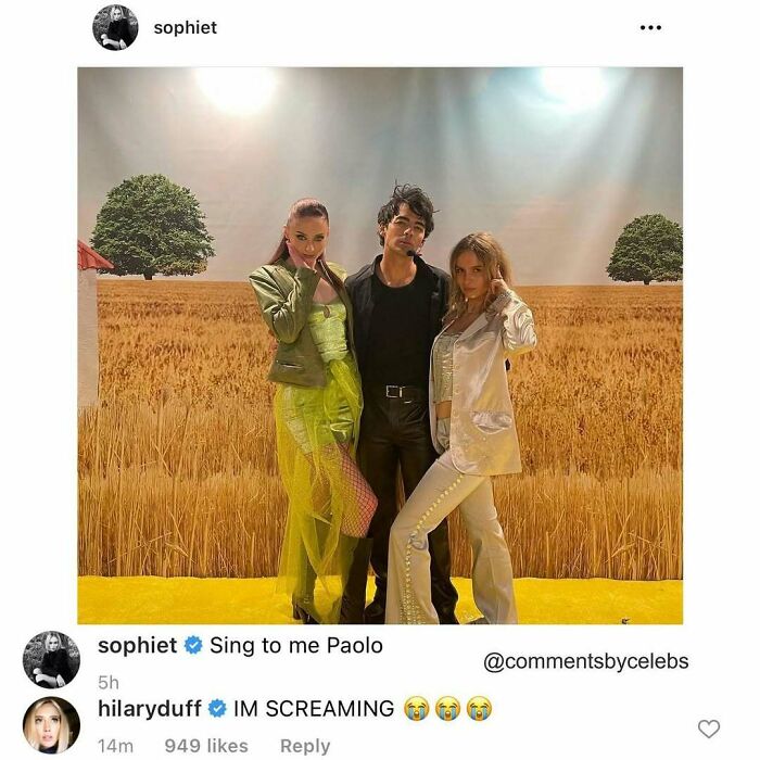 Three celebrities posing in front of a wheat field backdrop, showcasing unexpected gems in the comments section.