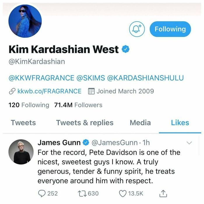 Screenshot of a celebrity Twitter like showing James Gunn praising Pete Davidson’s kind and funny spirit in celeb comments.