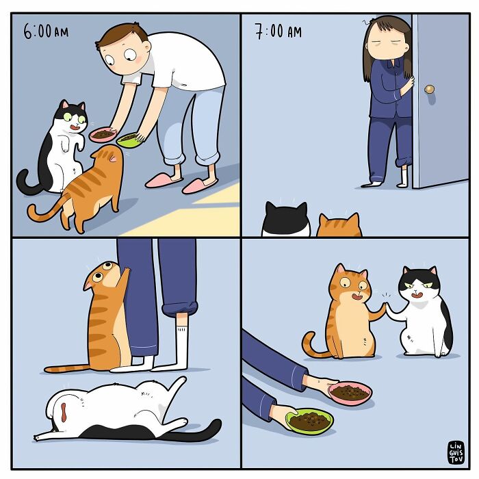 Comic panels showing cat owner feeding and interacting with two cats, illustrating relatable moments for cat owners in fun comics.