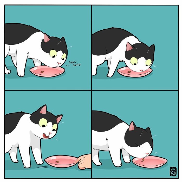 Black and white cat sniffing and eating from a pink plate in a fun comic for cat owners to relate to.