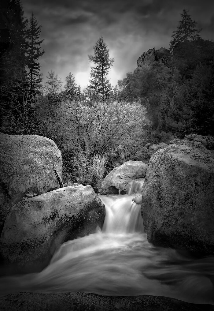 Black-and-white photo of a flowing forest stream surrounded by large rocks and tall trees, award-winning nature scene.