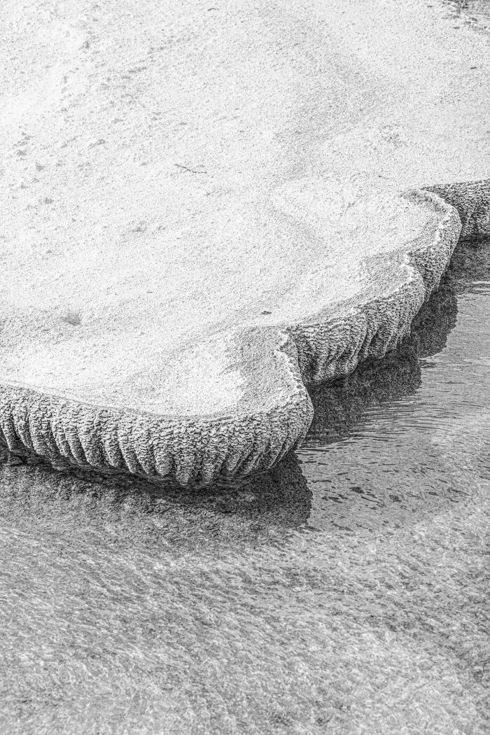 Black-and-white photo of detailed rock formation partially submerged in clear water with textured surface patterns.