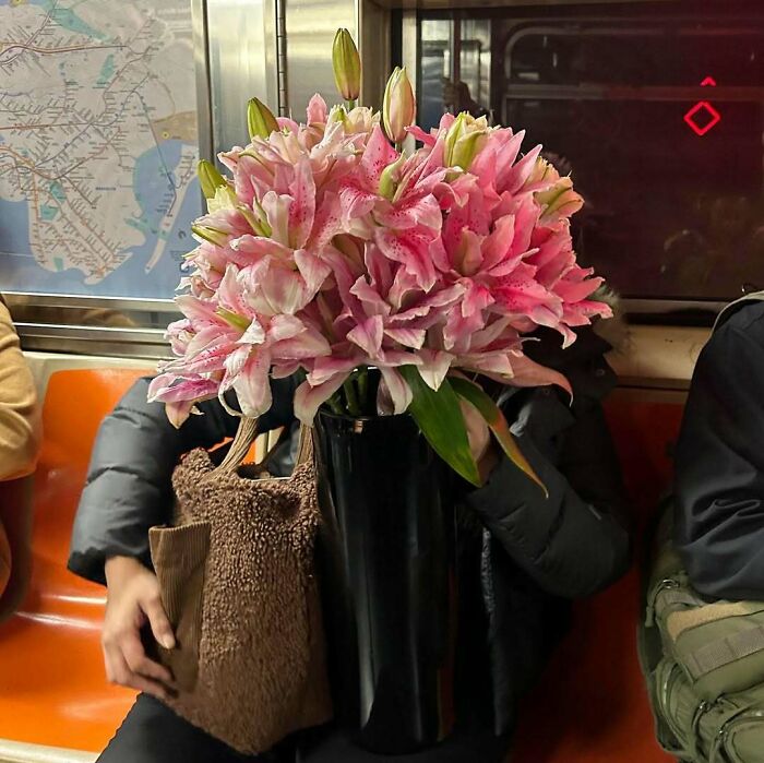 Person on New York subway holding a large bouquet of pink lilies, showcasing funny and unusual items carried by riders.